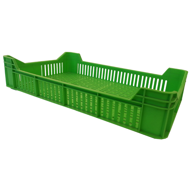GAJBICA HOLANDEZ 3 PLITKA